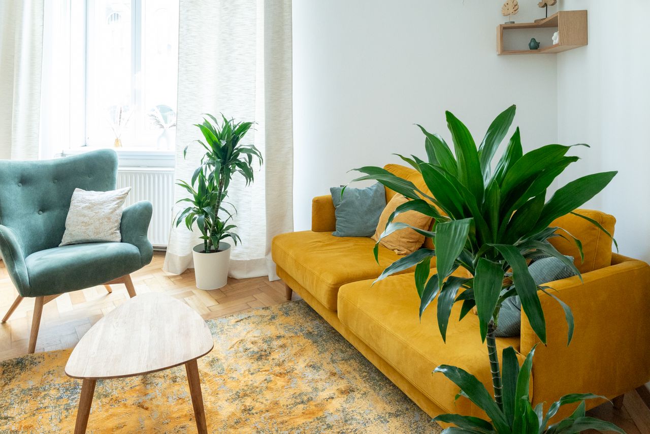 Beratungsraum mit gelbem Sofa, grünem Sessel und Zimmerpflanzen